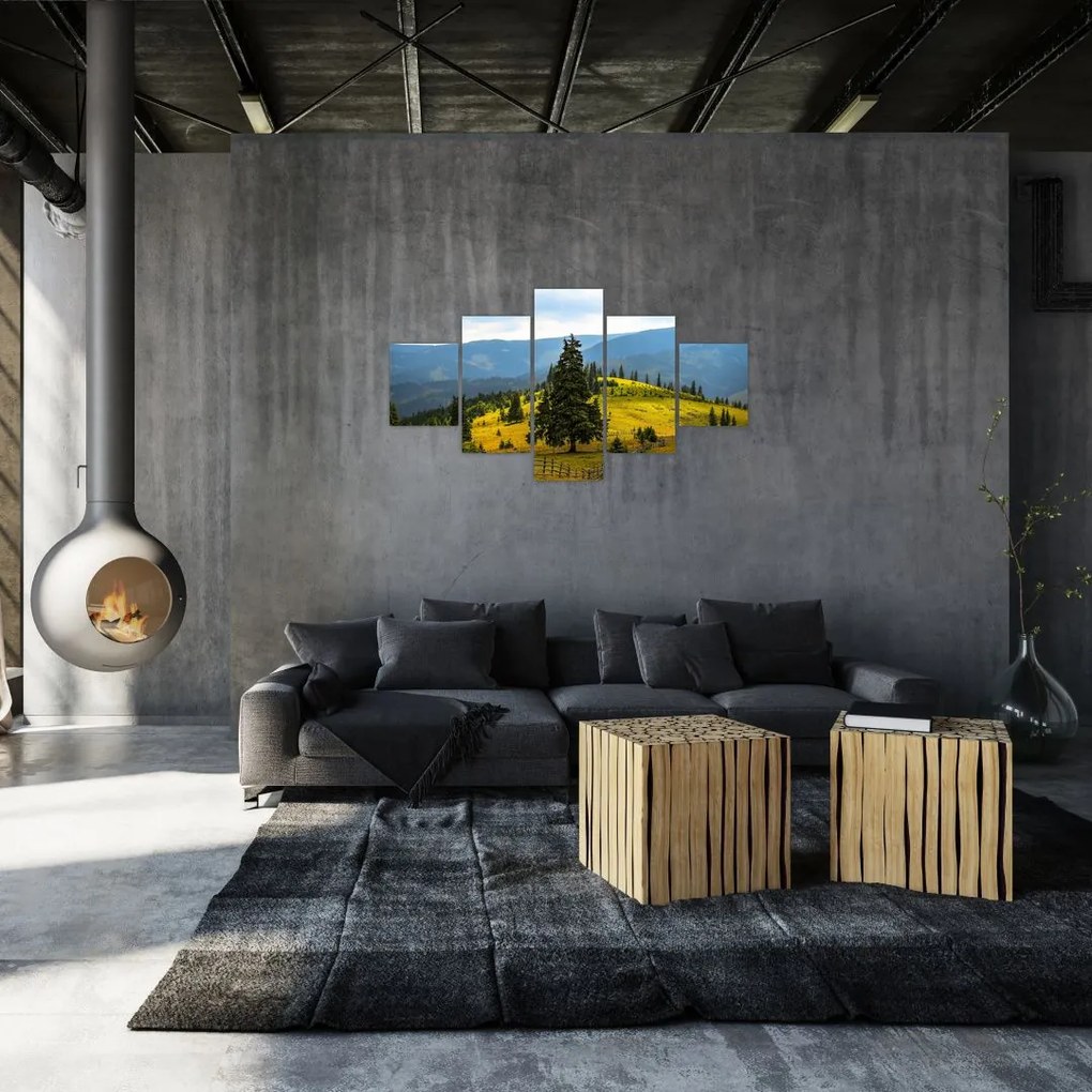 Obraz - Górska łąka (125x70 cm)
