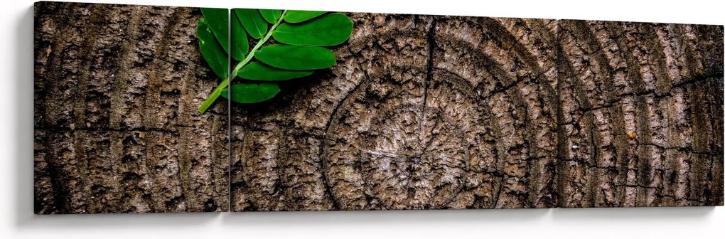 Obraz liścia na pniu drzewa (170x50 cm)