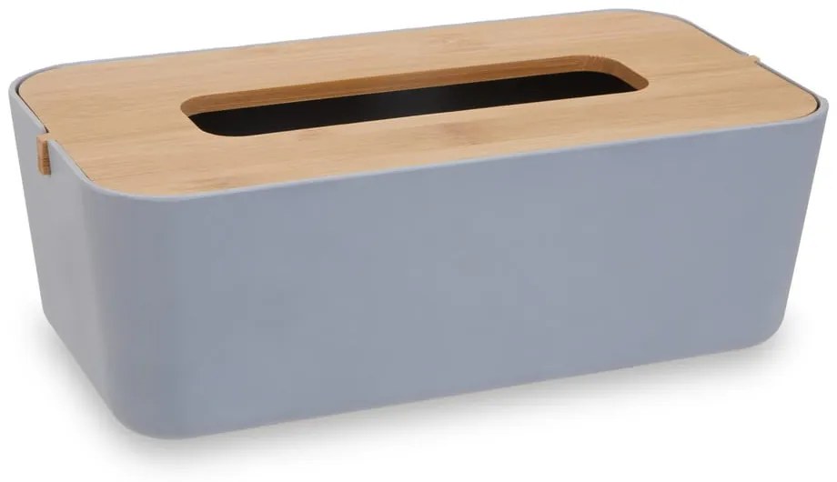 Plastikowy pojemnik na chusteczki Canyon – Premier Housewares
