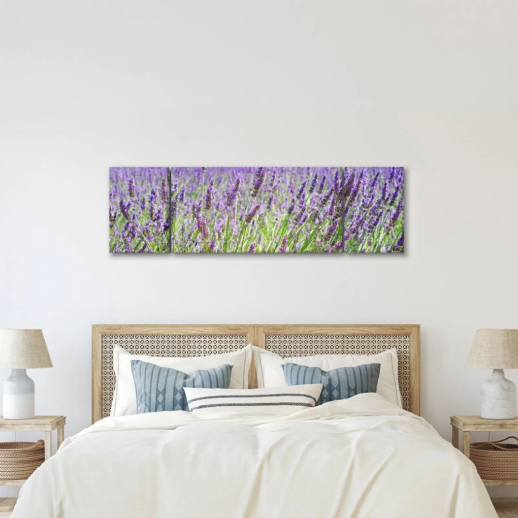 Obraz pola z lawendą (170x50 cm)