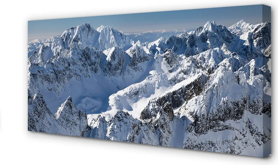 Obraz drukowany na płótnie Góry Zimą w Śniegu