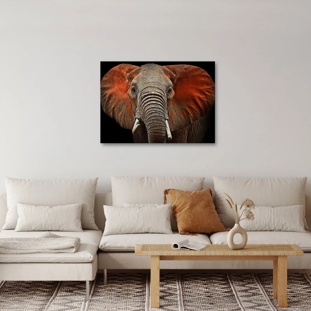 Obraz - Słonie z Tsavo (70x50 cm)