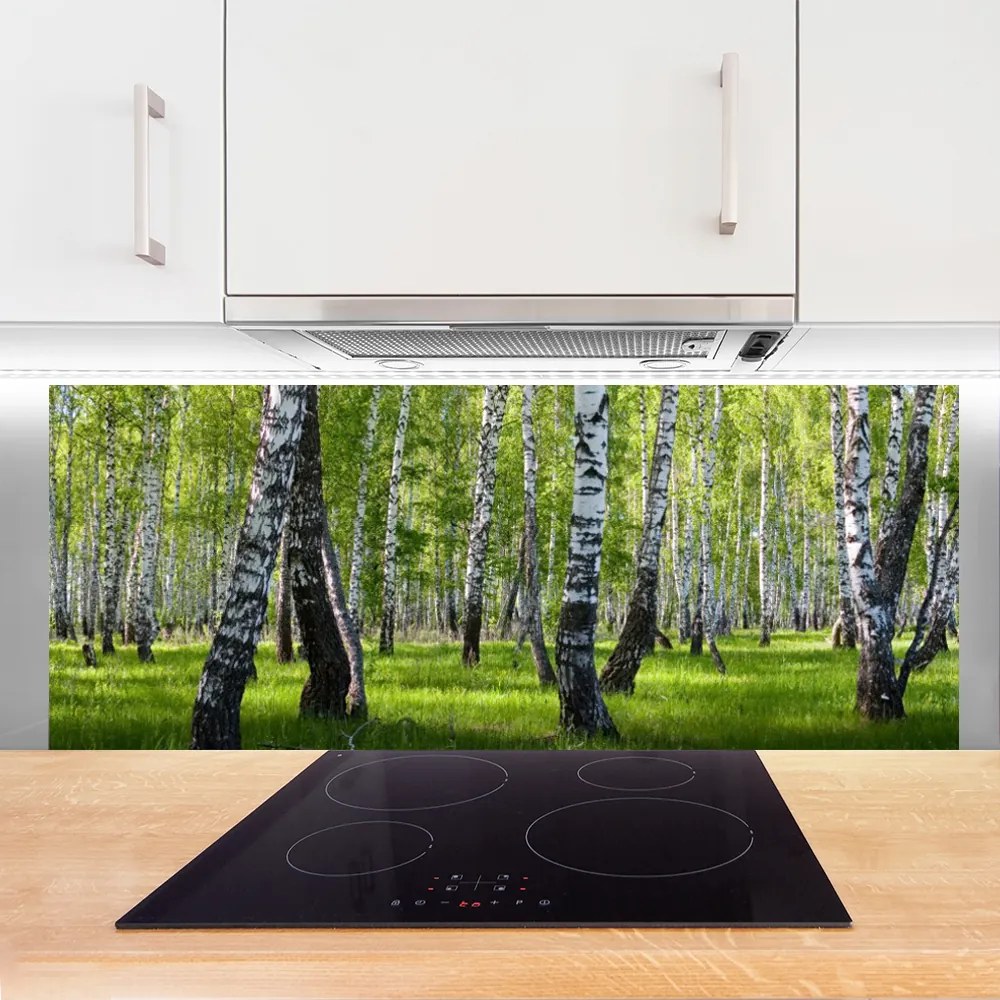 Panel Kuchenny Las Drzewa Natura
