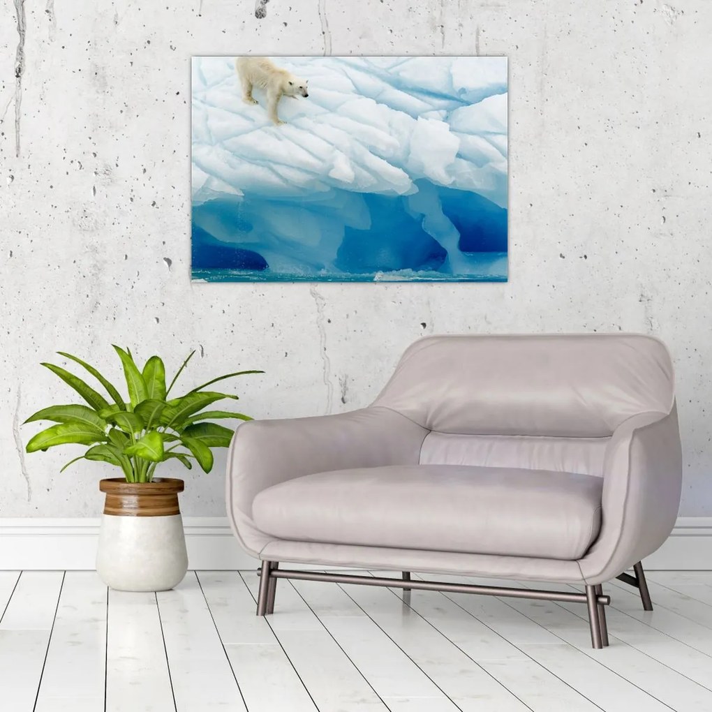 Obraz na szkle - Niedźwiedź polarny (70x50 cm)