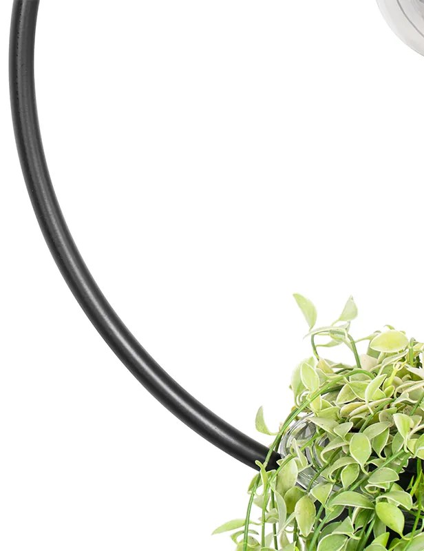 Nowoczesna lampa wisząca czarna ze szklaną okrągłą - Roslini Nowoczesny Oswietlenie wewnetrzne
