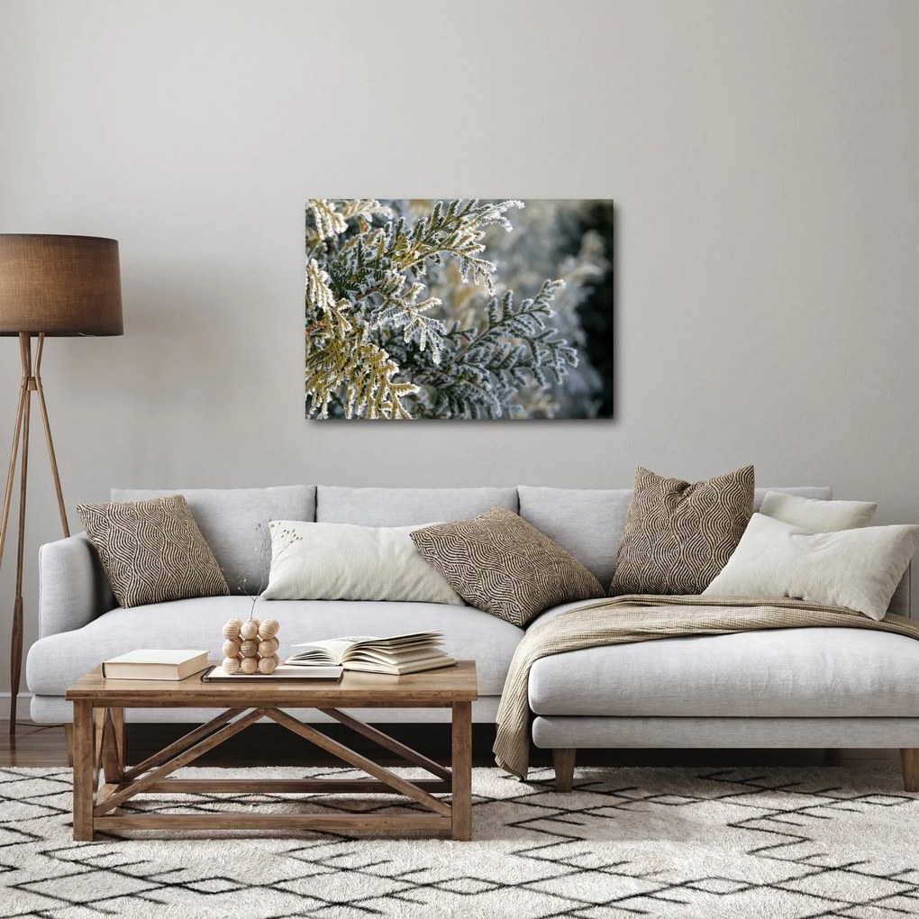 Obraz - Detal gałęzi (70x50 cm)
