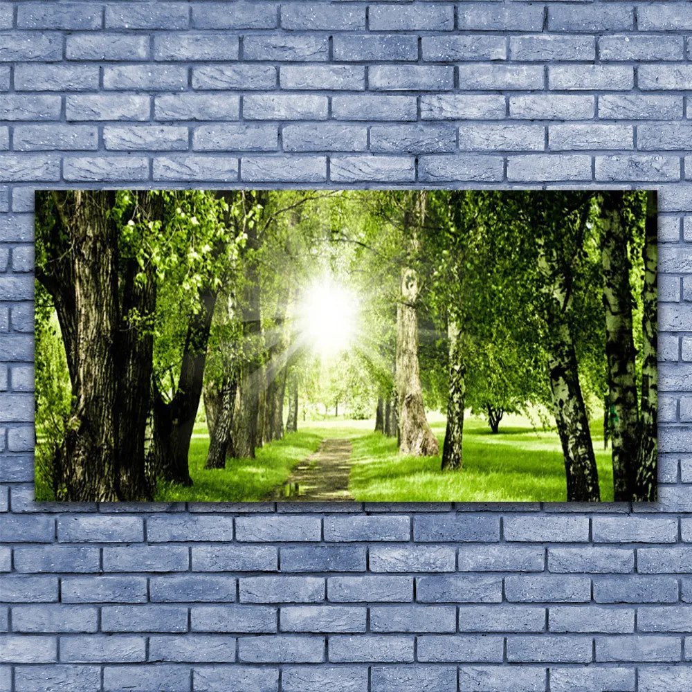 Obraz canvas Rozświetlona Ścieżka Leśna