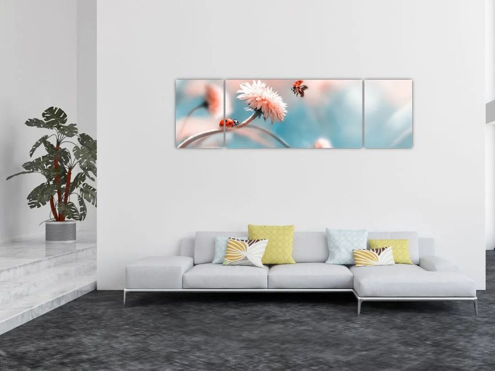 Obraz - Biedronka na kwiatku (170x50 cm)