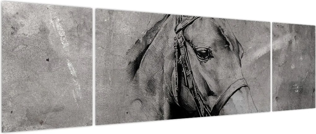 Obraz - Portret konia (170x50 cm)