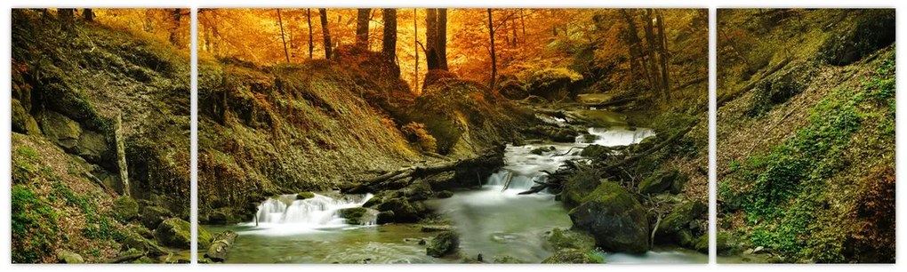 Obraz - Las (170x50 cm)