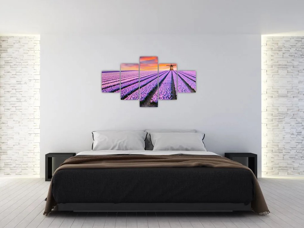 Obraz - farma kwiatów (125x70 cm)