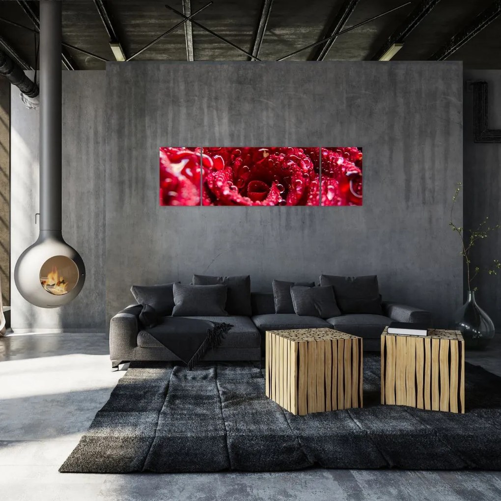 Obraz czerwonego kwiatu róży (170x50 cm)
