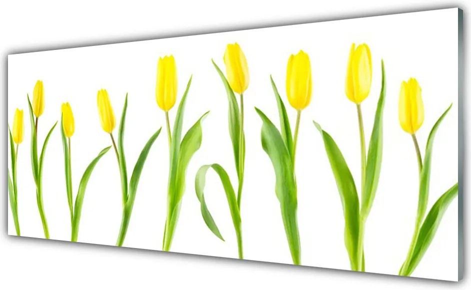 Panel Szklany Słoneczne Żółte Tulipany