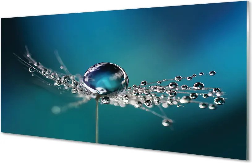 Panel nad Blat Kuchenny Dmuchawiec w Makrofotografii