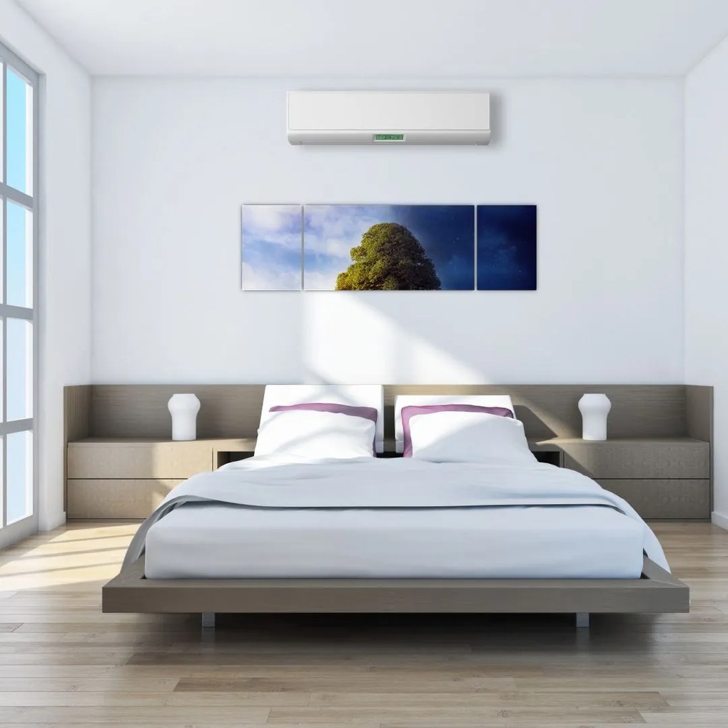 Obraz - Dzień i noc (170x50 cm)