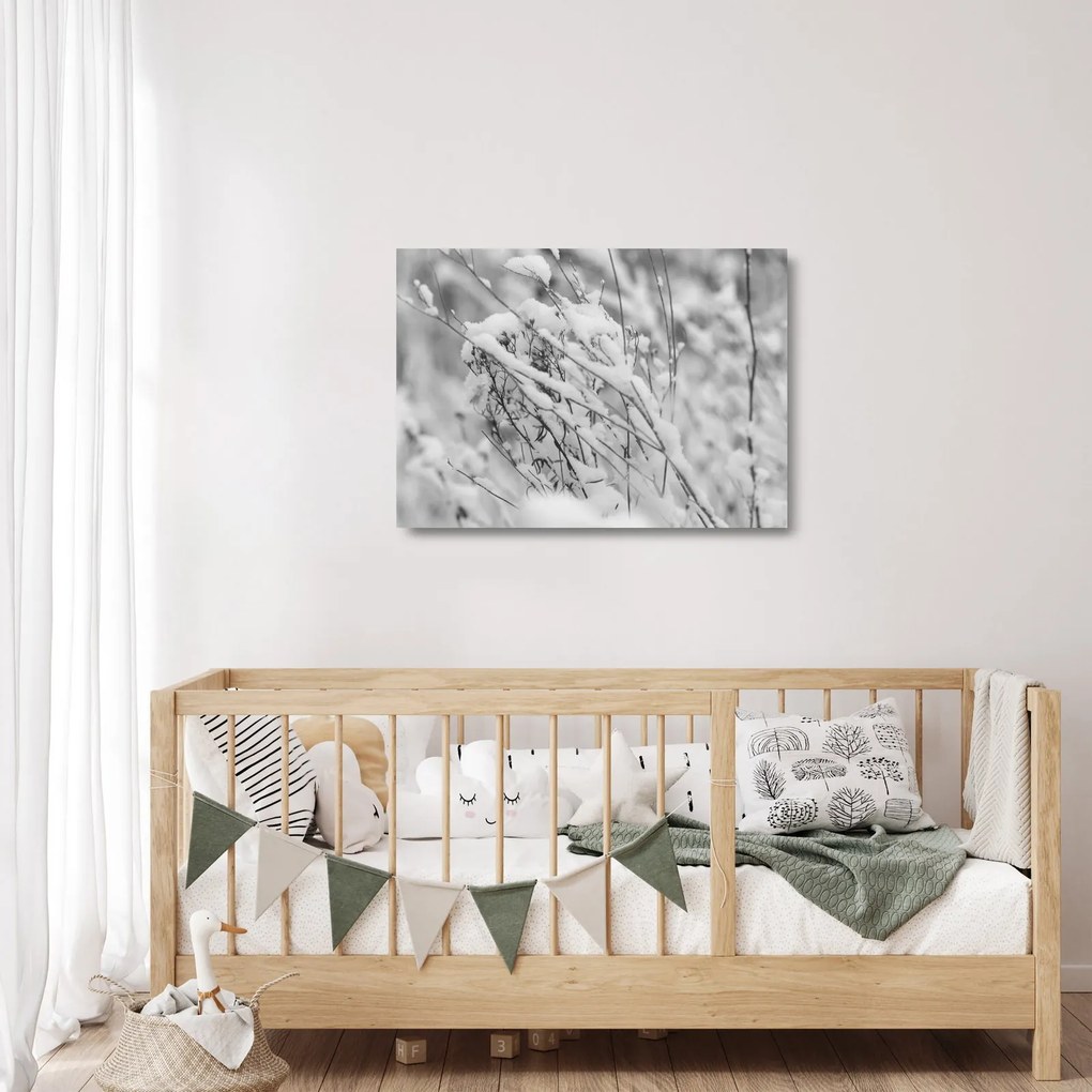 Obraz na szkle - Ośnieżone gałęzie (70x50 cm)