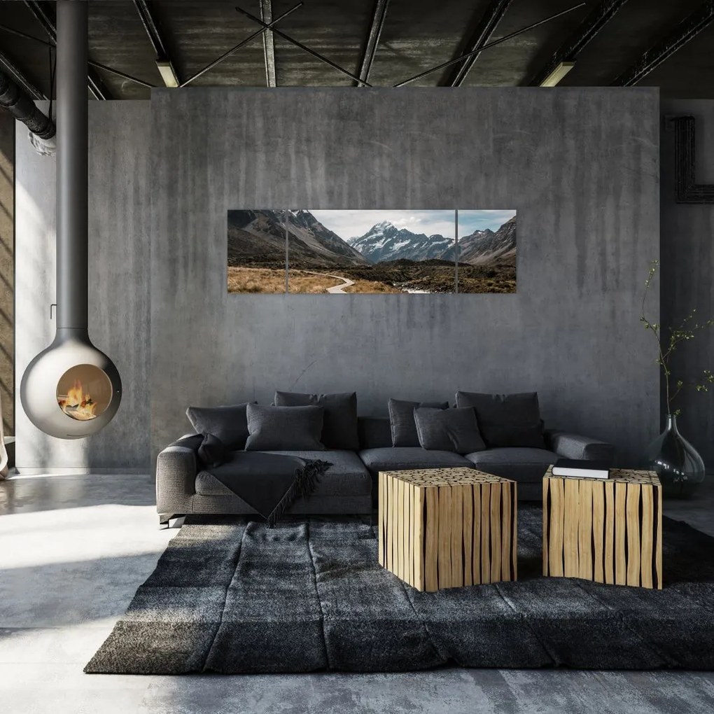 Obraz - Chodnik w dolinie góry Mt. Cook (170x50 cm)