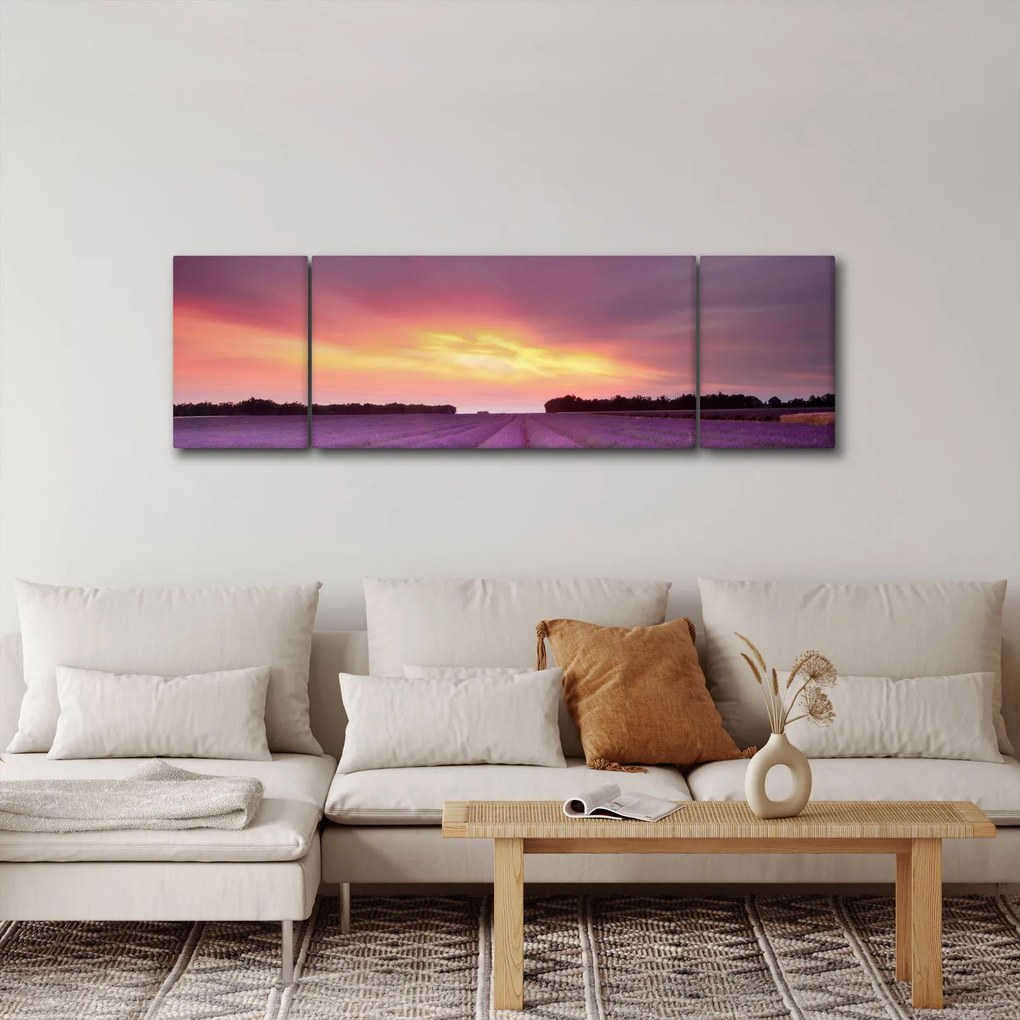 Obraz - Pole lawendy (170x50 cm)