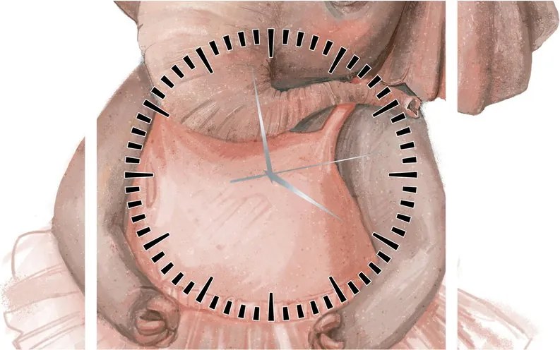 Obraz - Zwierzątko akwarelowe N⁰5 (z zegarem) (90x30 cm)