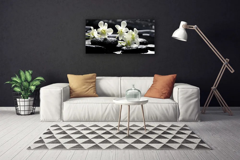 Obraz na płótnie Storczyk na Gładkich Kamieniach