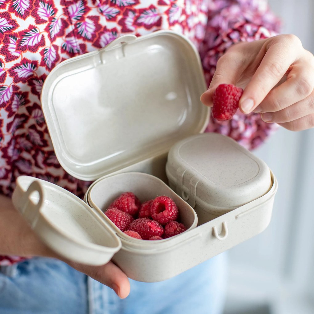 Lunchbox PASCAL READY MINI, zestaw 3 pojemników, KOZIOL