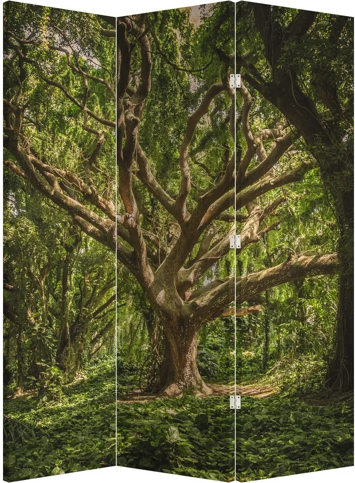 Parawan - Drzewo (126x170 cm)
