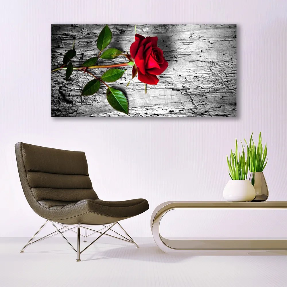 Obraz Canvas Róża Kwiat Roślina Natura