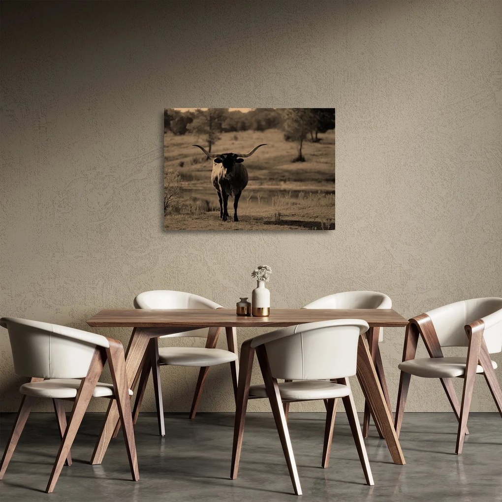 Obraz na szkle - Krowa z Teksasu (70x50 cm)