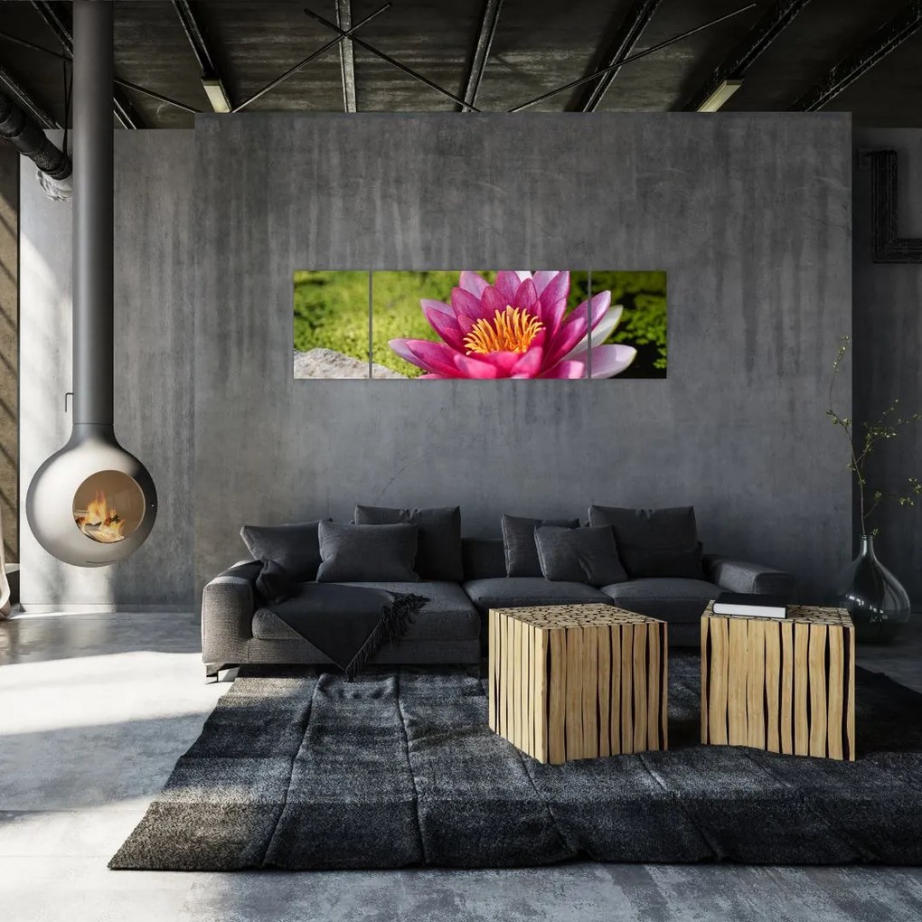 Obraz - Lilia wodna (170x50 cm)