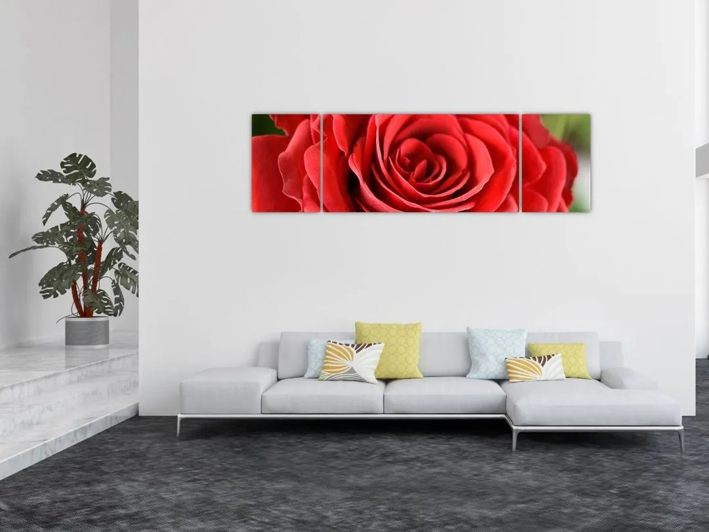 Obraz kwiatu róży (170x50 cm)