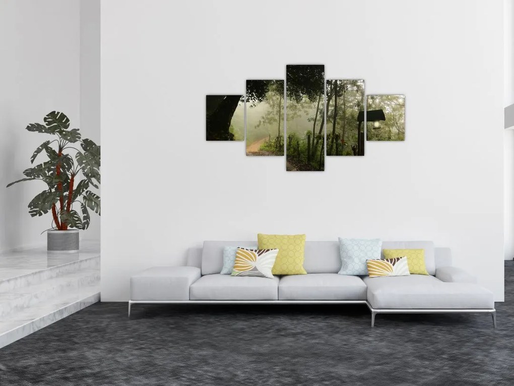 Obraz porannej mgły (125x70 cm)