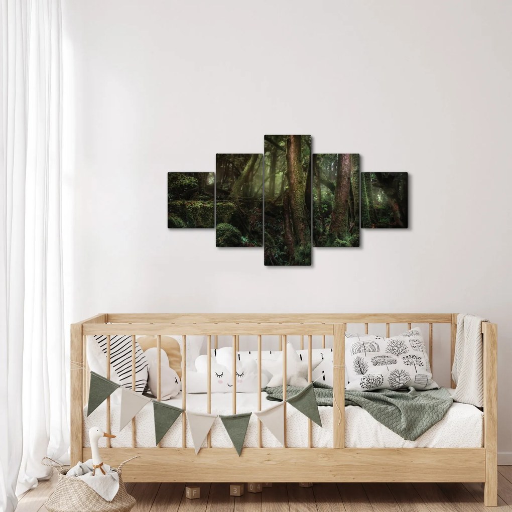 Obraz - Tajemniczy las (125x70 cm)