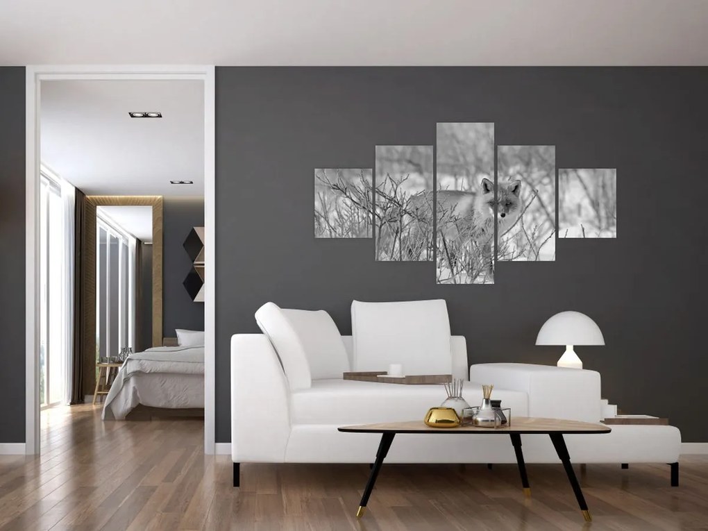 Obraz - Lis, czarno - biały (125x70 cm)