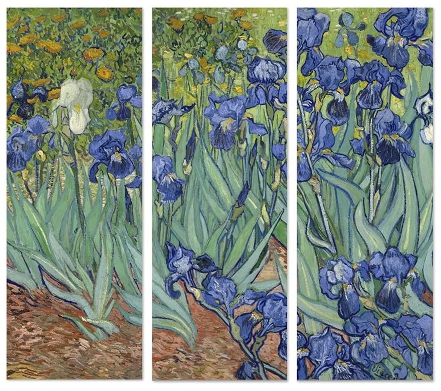 Obrazy zestaw 3 szt. 20x50 cm Vincent van Gogh – Wallity
