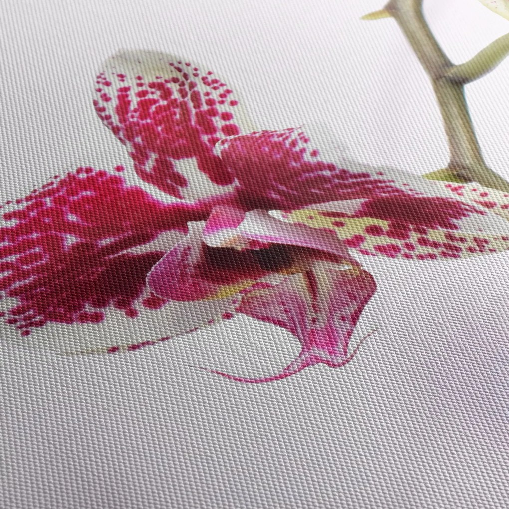 Obraz kwiatu orchidei (z zegarem) (90x30 cm)