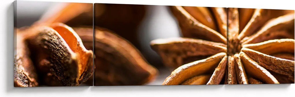 Obraz - Anyż (170x50 cm)