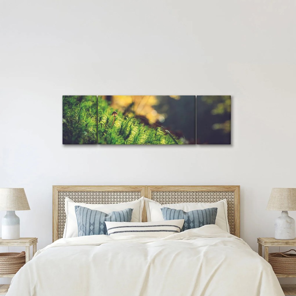 Obraz mchu z grzybem (170x50 cm)