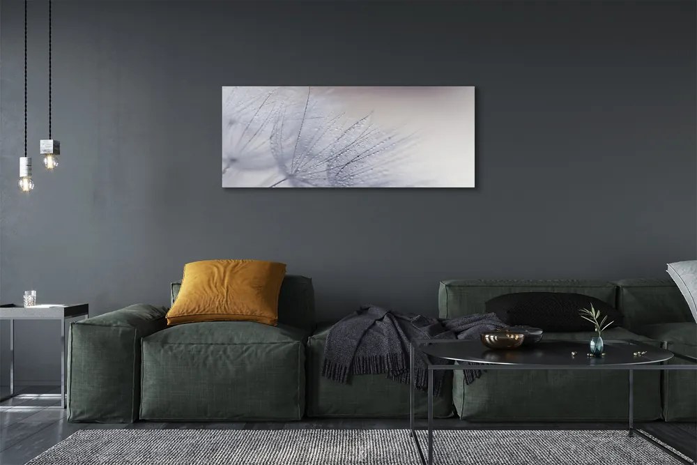 Duży obraz na płótnie Dmuchawce w Porannej Rosie