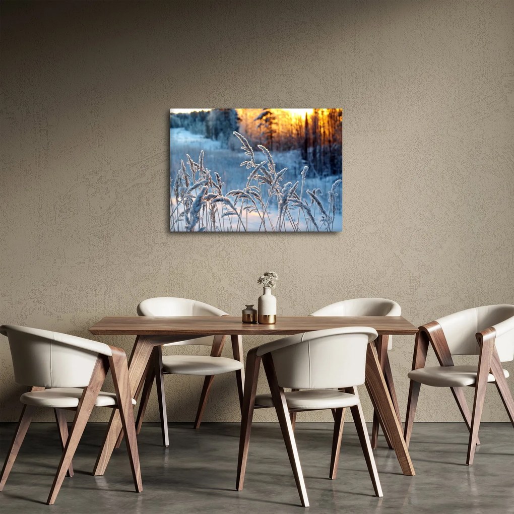 Obraz - Zimowa łąka (70x50 cm)