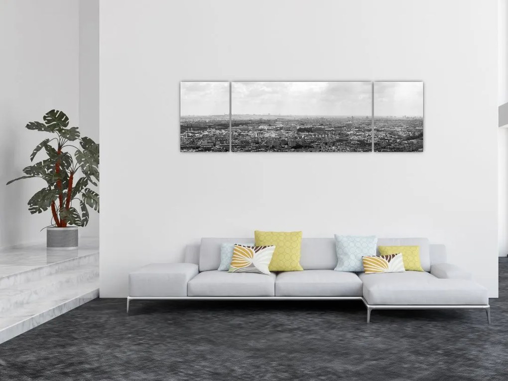 Obraz - Dachy domów w Paryżu (170x50 cm)