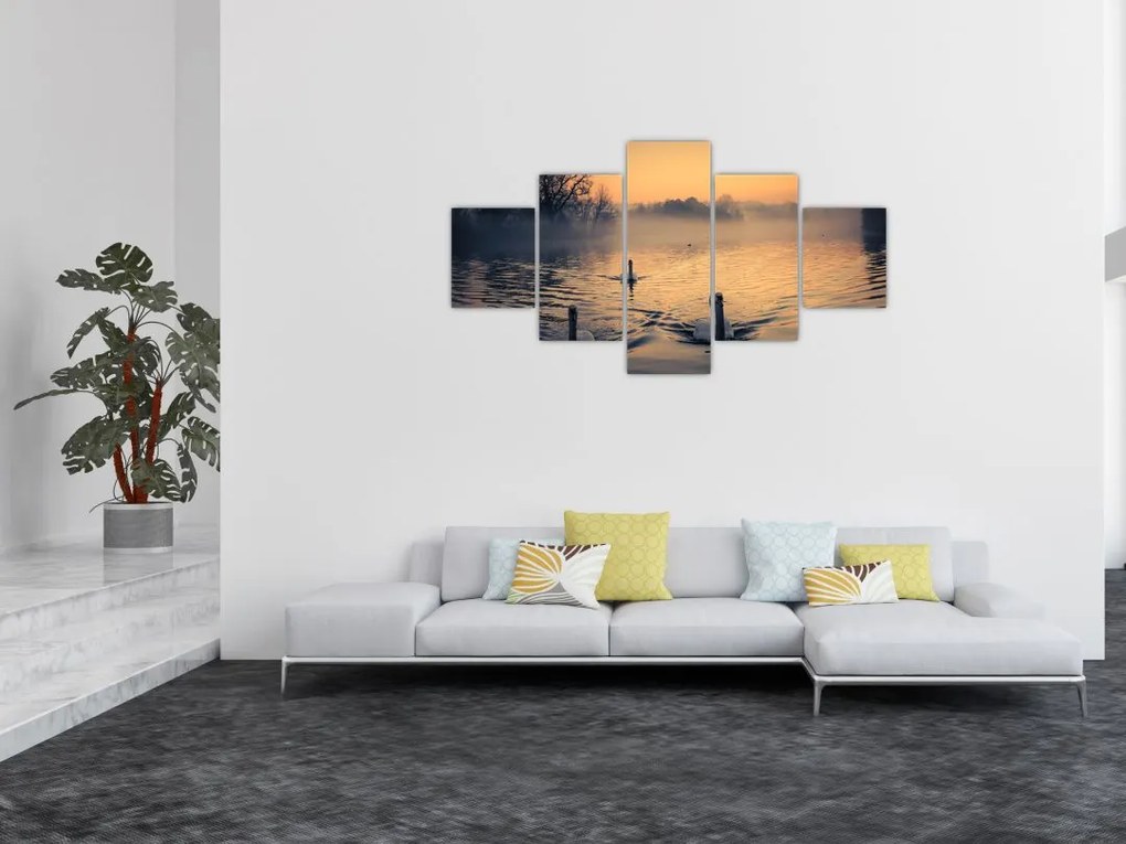 Obraz łabędzi na wodzie we mgle (125x70 cm)