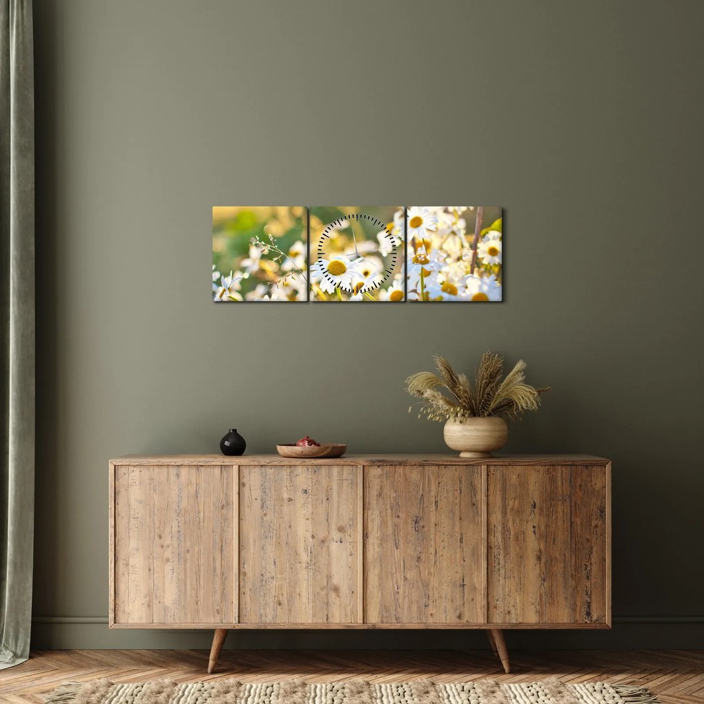 Obraz - Stokrotki (z zegarem) (90x30 cm)