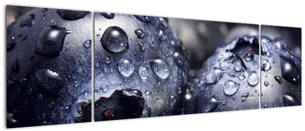 Obraz owoców z kroplami wody (170x50 cm)