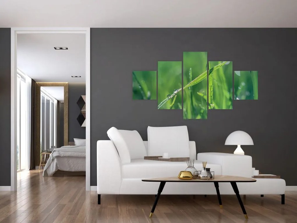 Obraz kropli rosy (125x70 cm)