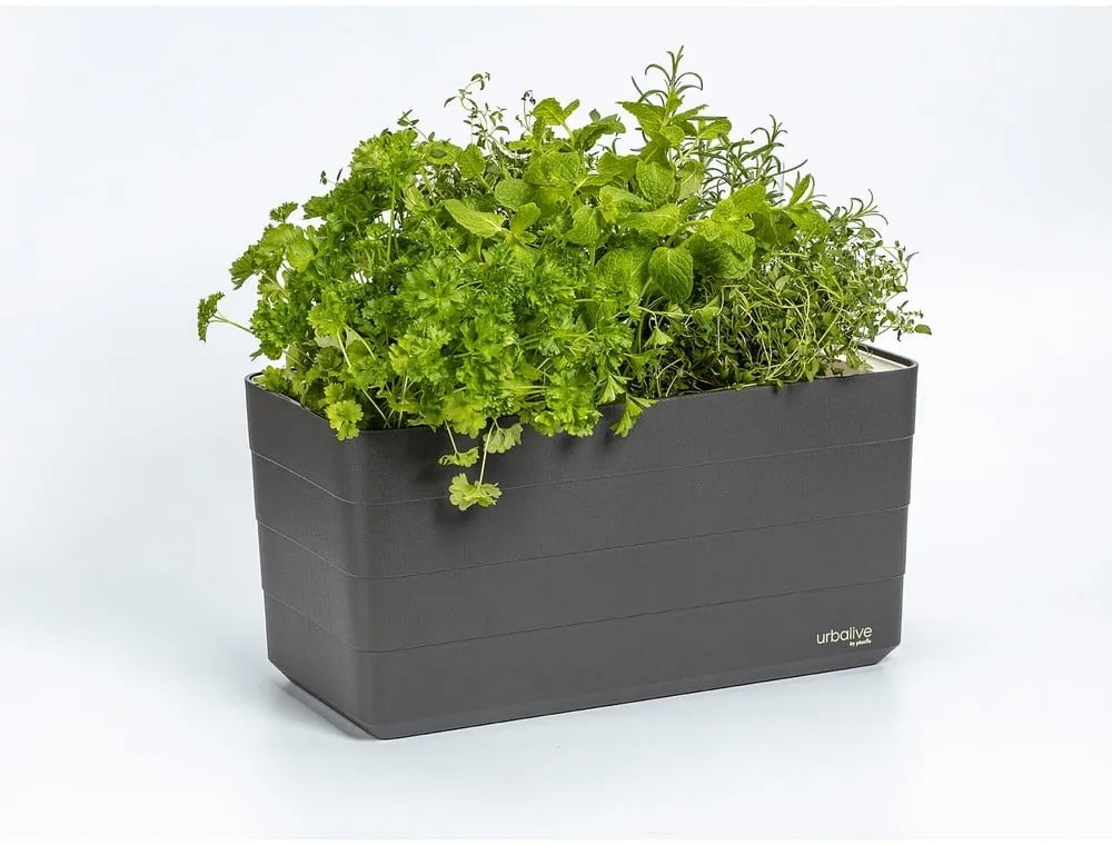 Plastikowa samonawadniająca doniczka 39,5 cm Berberis – Plastia