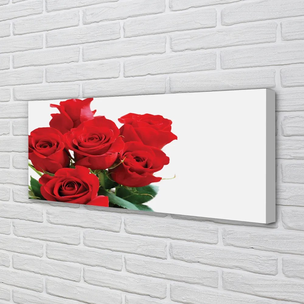 Fotoobraz na płótnie Klasyczna Wiązanka Róż