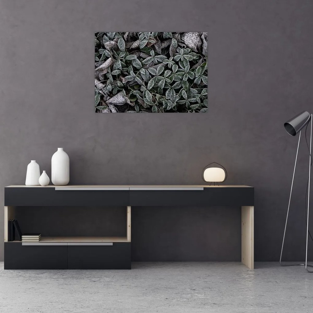 Obraz na szkle - Zamrożone rośliny (70x50 cm)