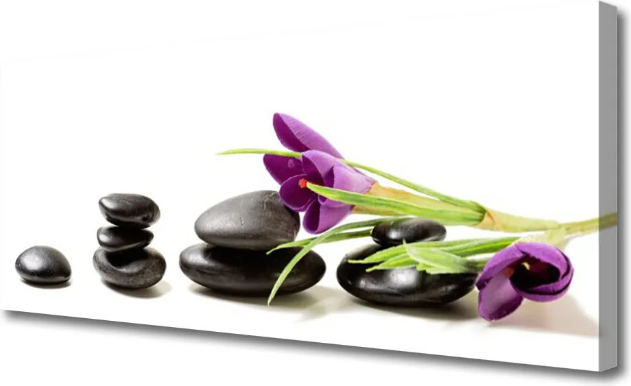 Obraz canvas Pierwsze Krokusy w Akwareli