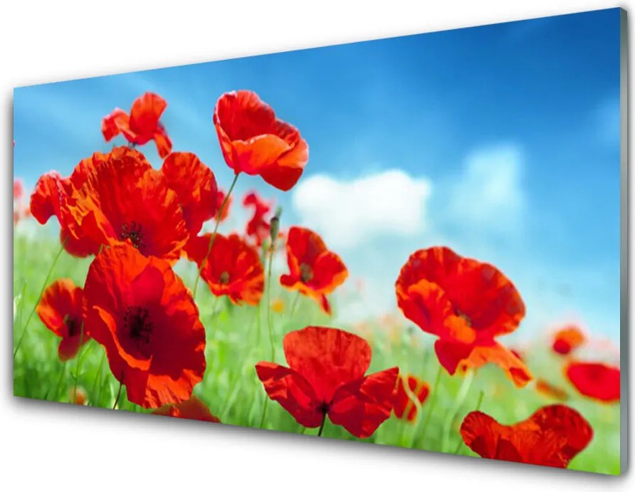 Panel Szklany Maki w Porannej Rosie