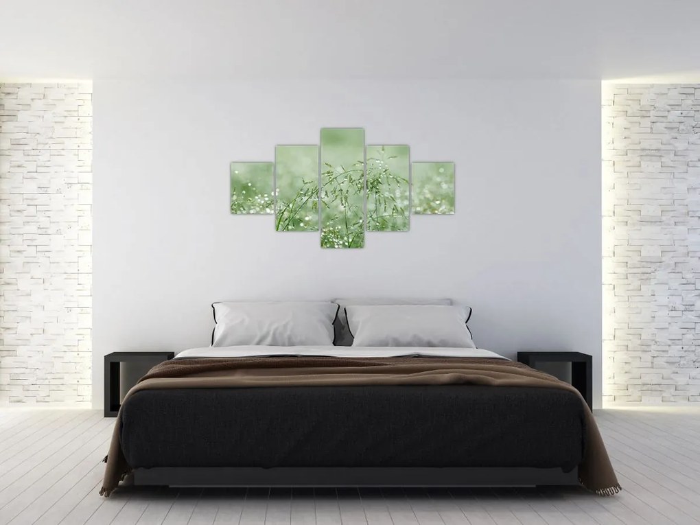Obraz - Poranna rosa na źdźbłach trawy (125x70 cm)